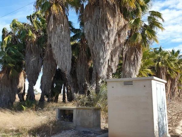 Terreno en La Hoya-Daimes-El Derramador