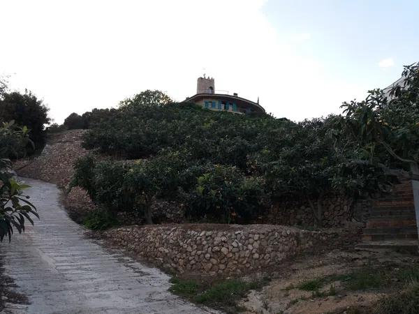 Terreno en Partida les Tronetes, 1