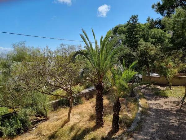 Terreno en calle Publicista Víctor Viñés, 14 [a]