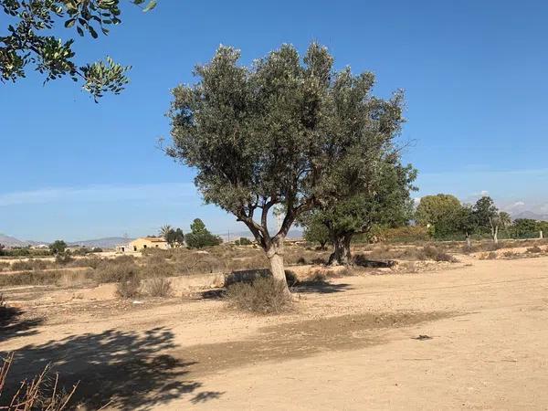 Terreno en calle Azafrán