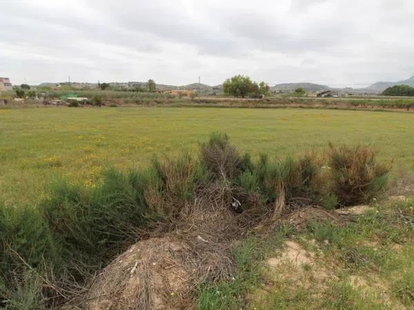 Terreno en Pedanías Oeste