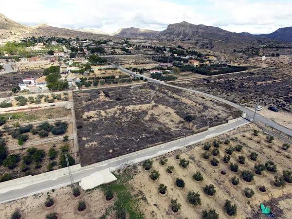 Terreno en Partida Tossal Redo