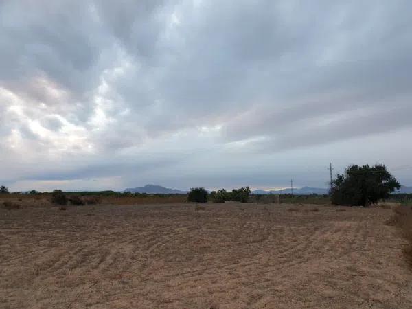 Terreno en La Marina