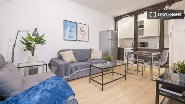 Apartamento entero de 1 habitaciones en Madrid