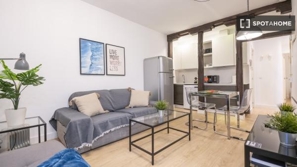 Apartamento entero de 1 habitaciones en Madrid