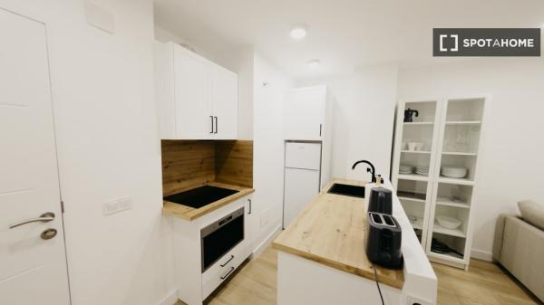 Apartamento completo de 1 dormitorio en Málaga