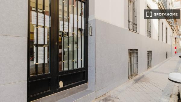 Estudio en alquiler en Madrid