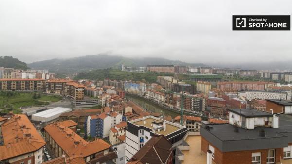 Ampia camera in appartamento con 3 camere da letto a Casco Viejo, Bilbao