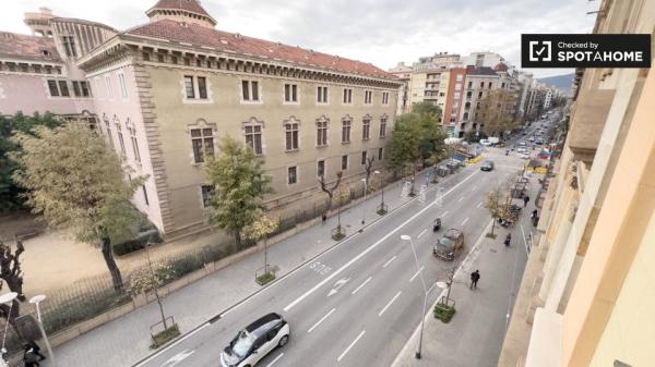 Se alquila habitación en piso de 6 habitaciones en Barcelona