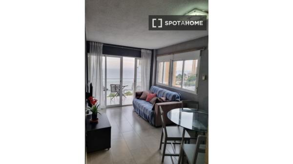 Apartamento completo de 2 habitaciones en Alacant