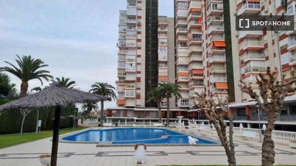 Apartamento completo de 2 habitaciones en Alacant