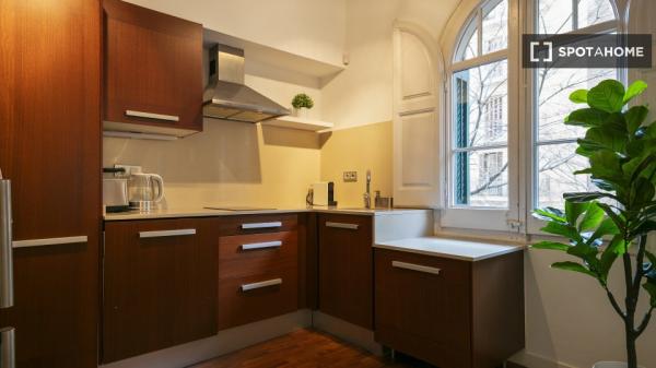 apartamento de 1 dormitorio en alquiler en Eixample, Barcelona