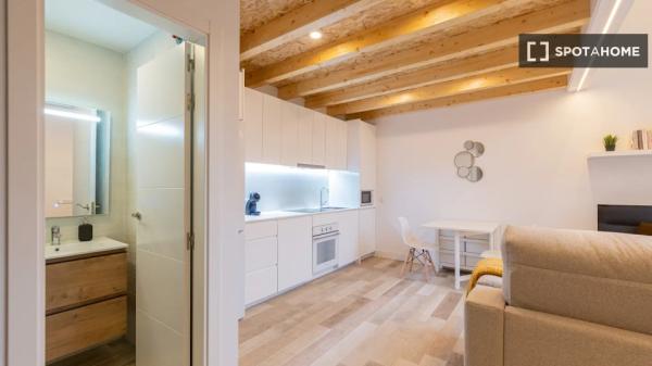 Apartamento de 1 dormitorio en alquiler en Madrid