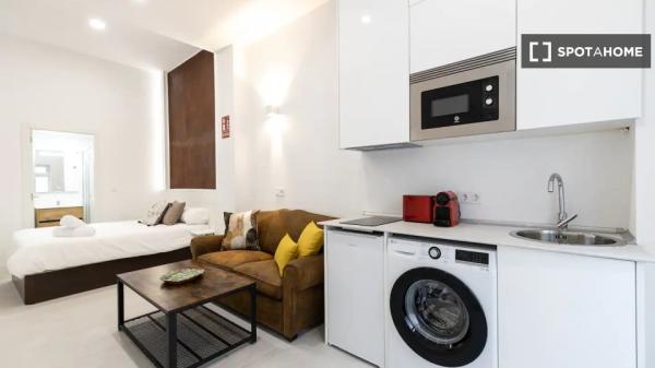 Studio-Apartment zu vermieten in Madrid