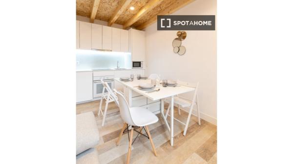 Apartamento de 1 dormitorio en alquiler en Madrid