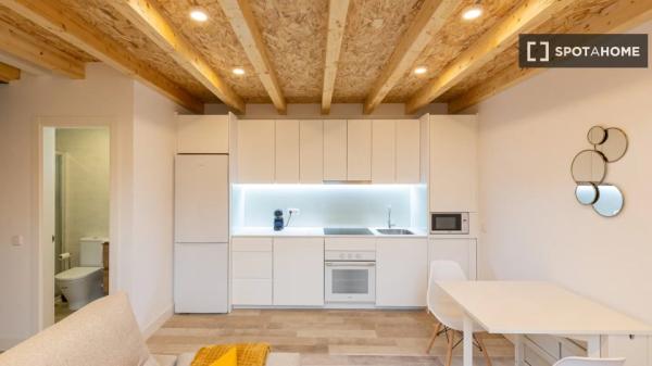 Apartamento de 1 dormitorio en alquiler en Madrid