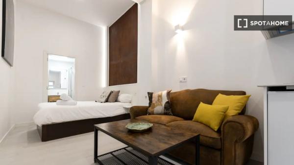 Studio-Apartment zu vermieten in Madrid