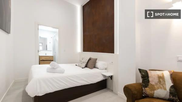 Studio-Apartment zu vermieten in Madrid