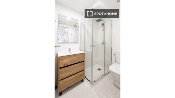 Studio-Apartment zu vermieten in Madrid