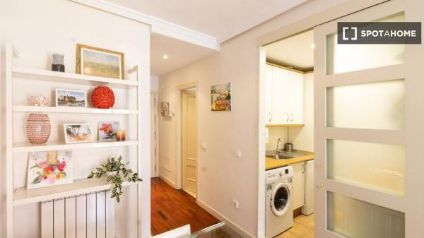 Apartamento de 1 dormitorio en alquiler en Madrid