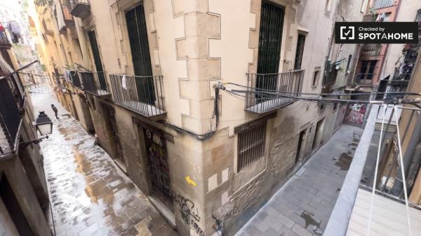 Room in shared apartment in Barcelona