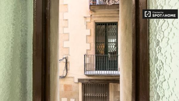 Room in shared apartment in Barcelona