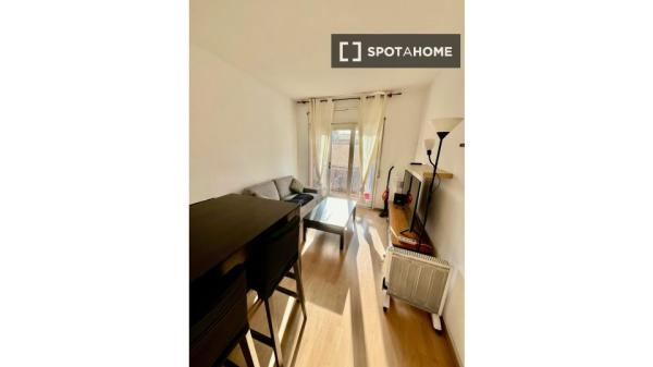 Apartamento entero de 2 dormitorios en Barcelona.