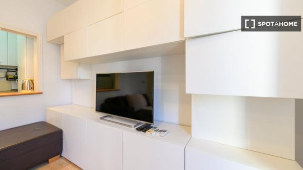 Apartamento entero de 1 habitaciones en Madrid