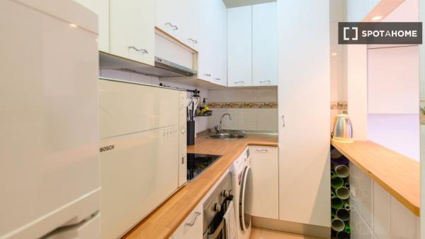 Apartamento entero de 1 habitaciones en Madrid