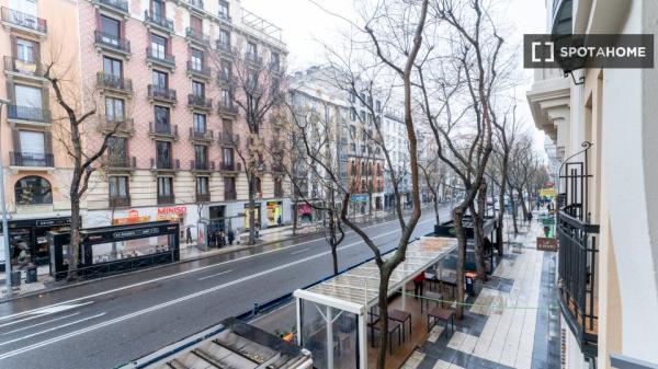 Preciosa habitación en alquiler en Madrid