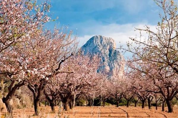 Villa de lujo en Calpe