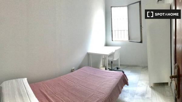 Spacious student room in the best area of Cordoba