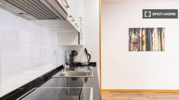 Wonderfully equipped apartment in Eixample