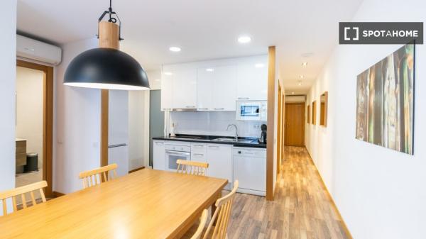 Wonderfully equipped apartment in Eixample