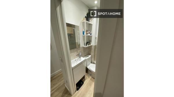 apartamento de 1 dormitorio en alquiler en Lavapiés, Madrid