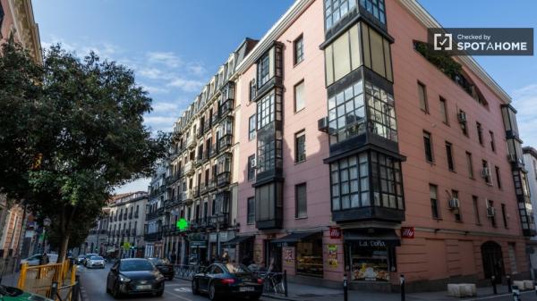 apartamento de 1 dormitorio en alquiler en Malasaña, Madrid