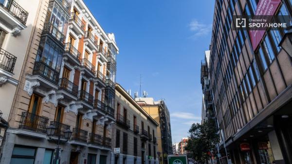 apartamento de 1 dormitorio en alquiler en Malasaña, Madrid