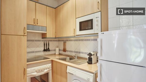 Piso de 1 dormitorio en alquiler en Centro, Madrid