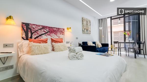 Apartamento estudio en alquiler en Gran Canaria