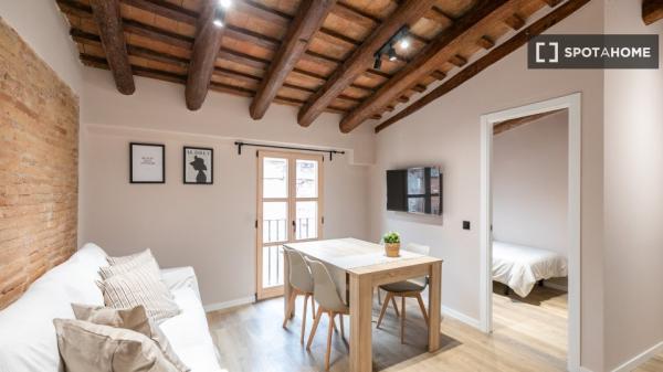 Cómodo apartamento en el centro de Barcelona