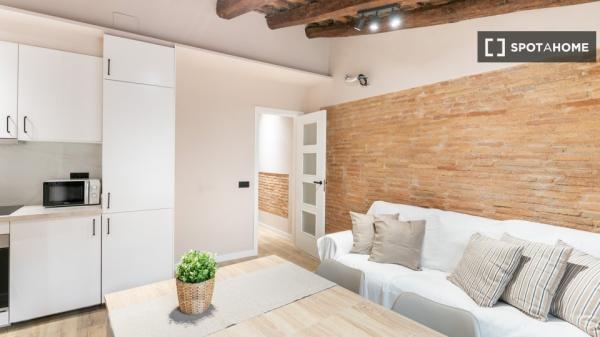 Cómodo apartamento en el centro de Barcelona