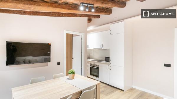 Cómodo apartamento en el centro de Barcelona