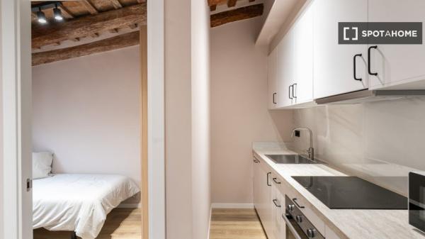 Cómodo apartamento en el centro de Barcelona