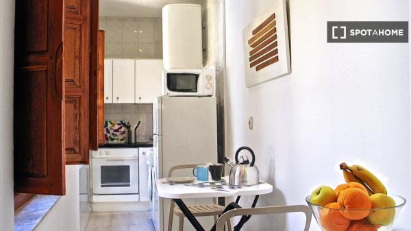 Apartamento de 1 dormitorio en alquiler en Salamanca