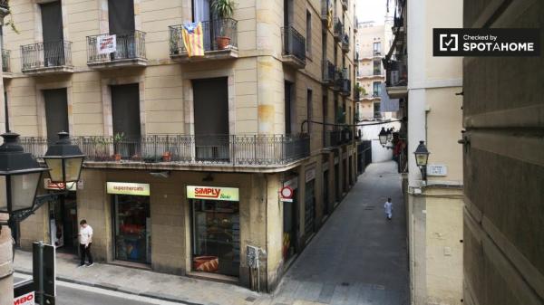 piso de 3 habitaciones con aire acondicionado en alquiler en El Raval, Barcelona