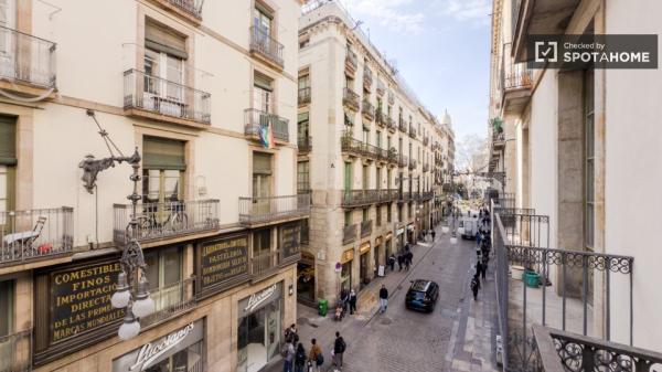 Apartamento de estúdio para alugar em Ciutat Vella, Barcelona