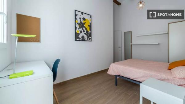 Chambre à louer dans un appartement partagé à Valence