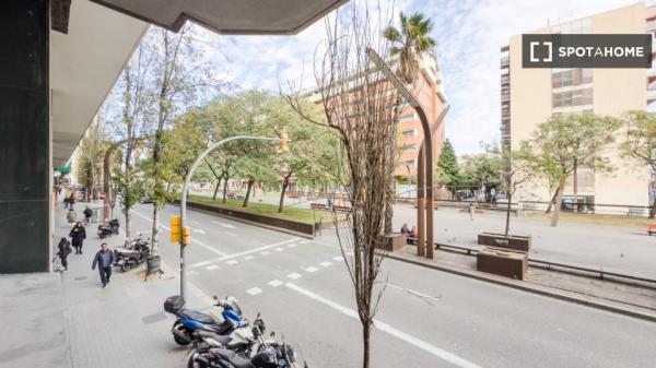 Se alquila habitación en piso de 4 dormitorios en Barcelona