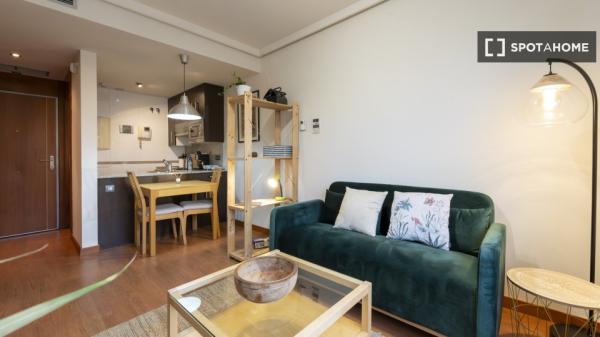 Apartamento entero de 1 habitaciones en Madrid