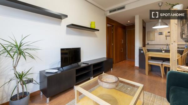 Apartamento entero de 1 habitaciones en Madrid